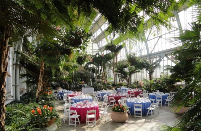 The Jewel Box